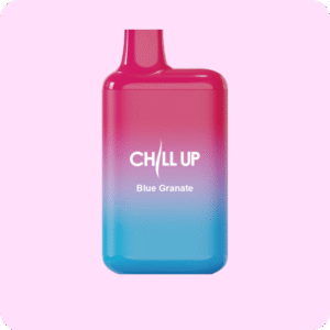 Chill Up 4000 Чорниця Гранат